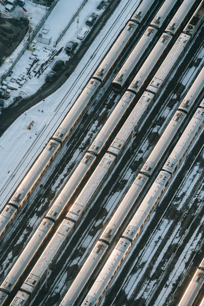 Trains on railroads in winter day